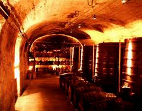 Cognac-Dupeyron-cellar