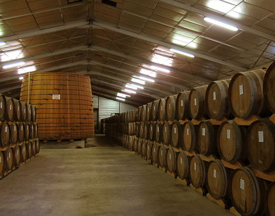 Armagnac-de-Montal-cellar