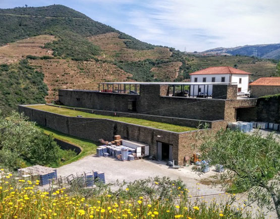 niepoort quinta de napoles