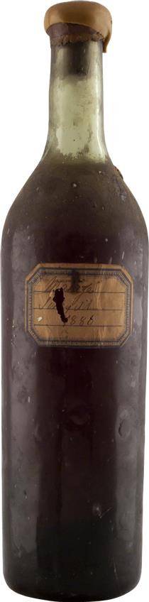 Malaga 1886 Scheyell (2271)